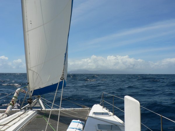 29- Tobago en vue 